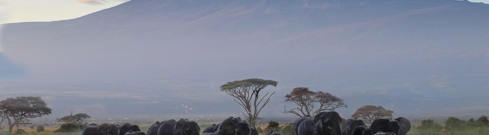 wyprawa na kilimanjaro afryka