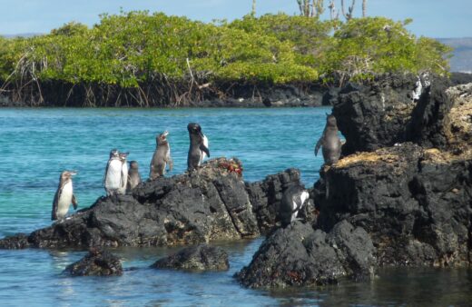 wyspy galapagos