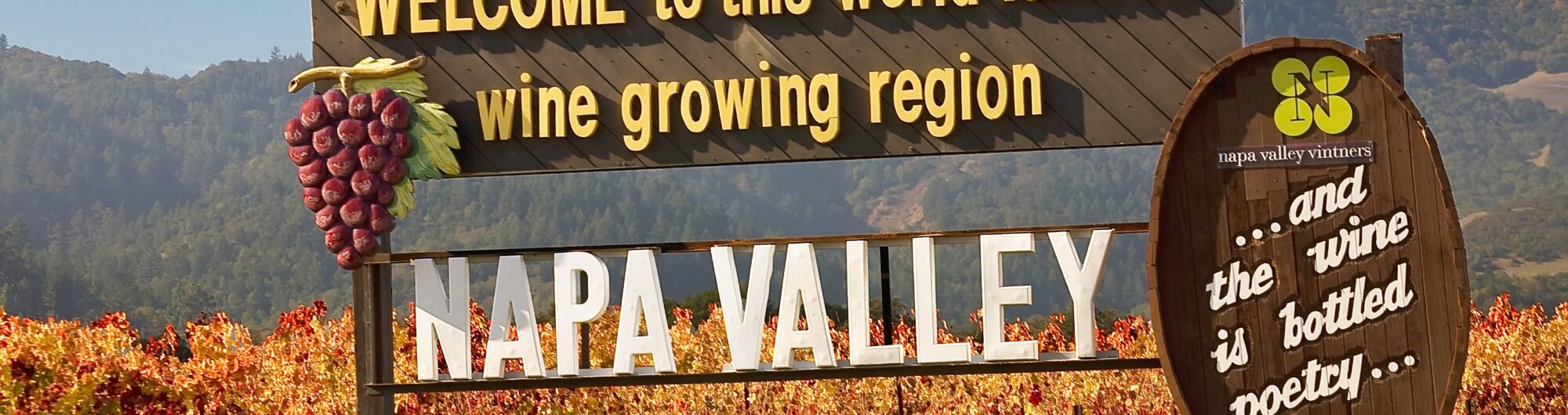 Napa Valley wycieczka